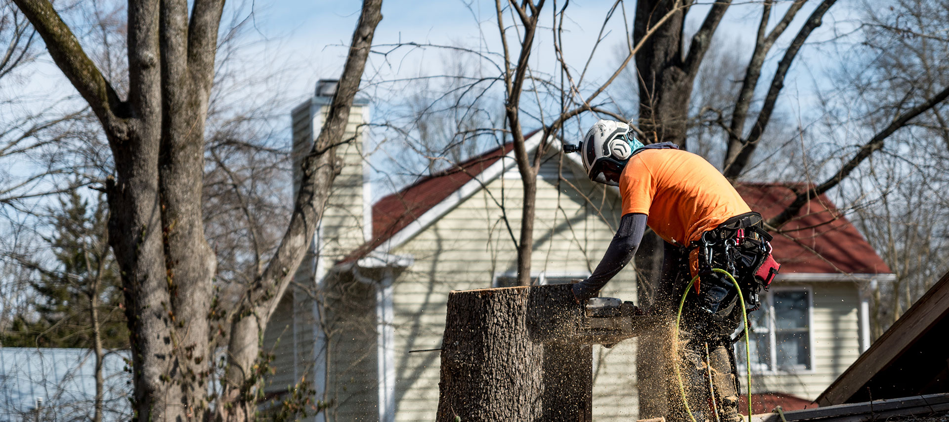 Our Hixson professional tree service in action, dividing a tree into smaller sections.