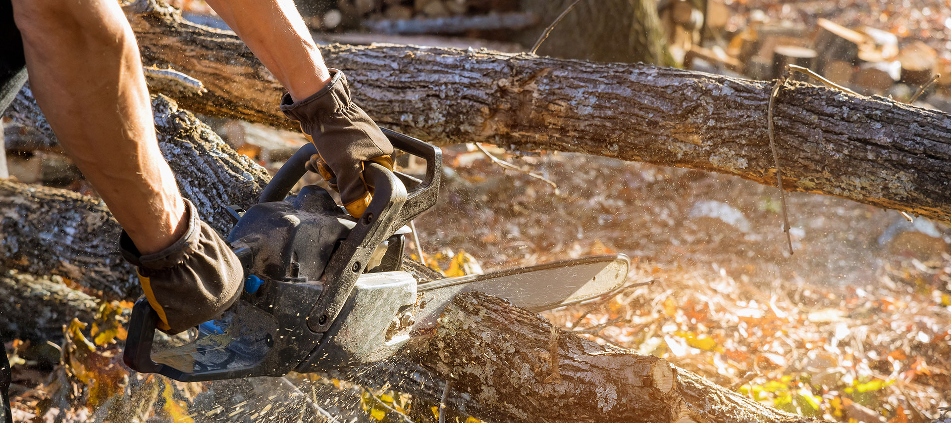 Our Chattanooga professional tree service can remove trees from any angle.