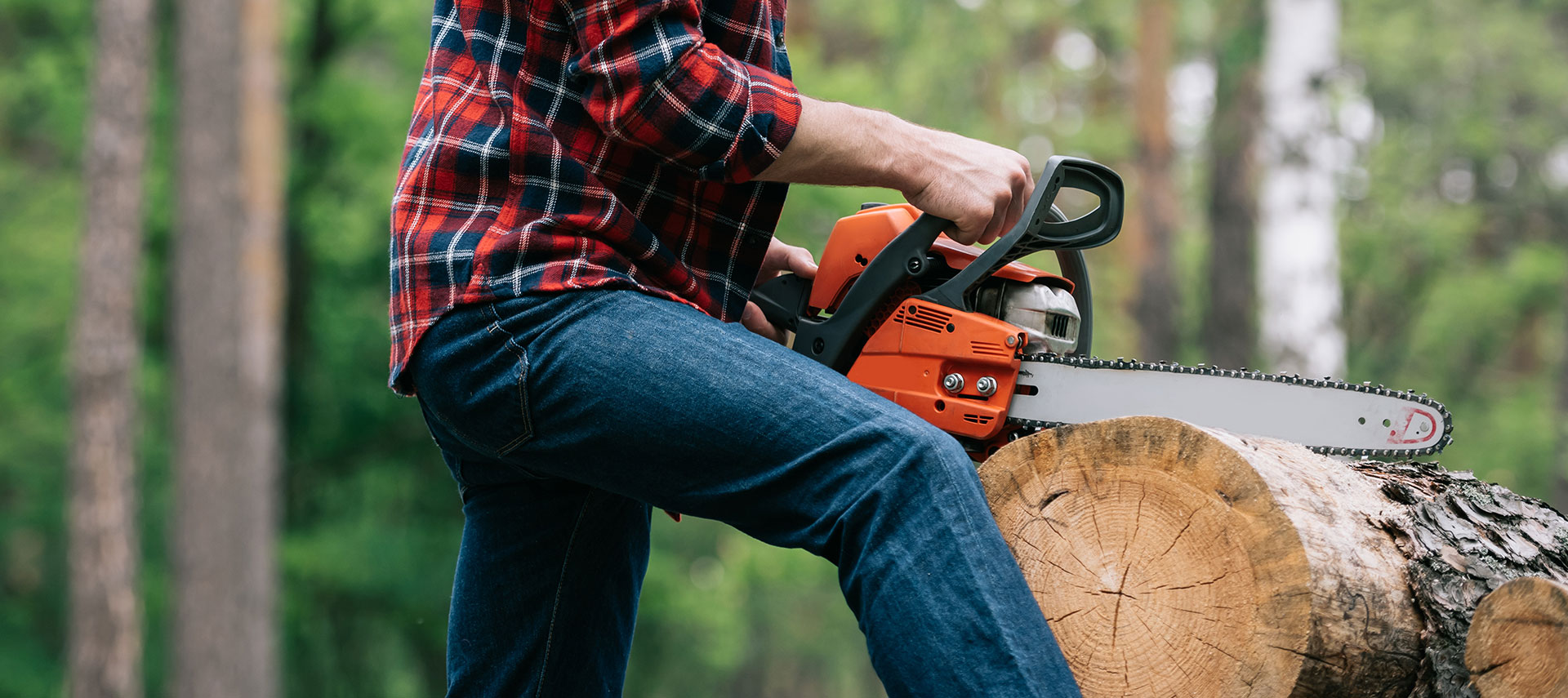 Our Sale Creek professional tree service ensures quick, efficient, and safe work.