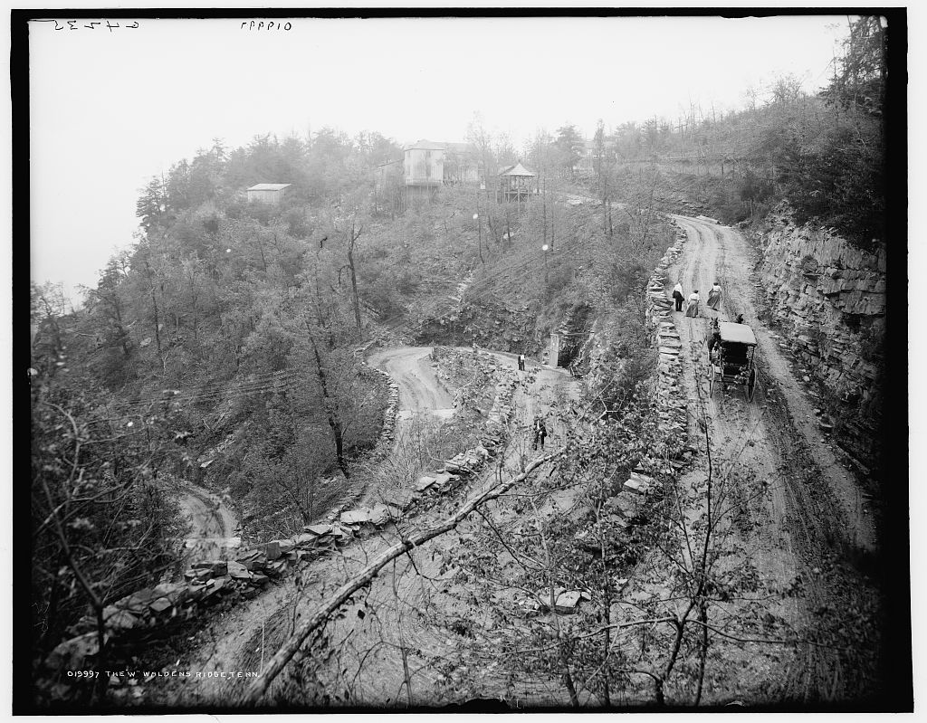 The historic 'W Road' that winding upthe side of Signal mountain showcasing Crane Tree Removal