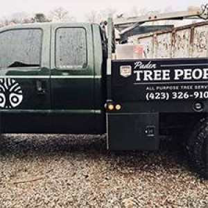 High-Risk Tree Removal Service