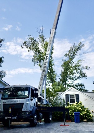 New Equipment Announcement: Tree Removal Crane
